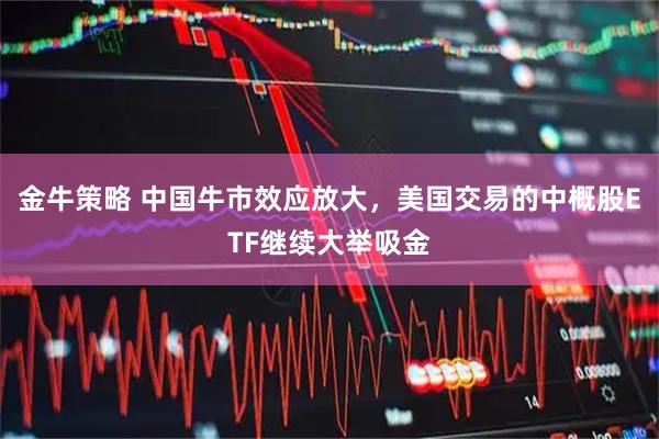 金牛策略 中国牛市效应放大，美国交易的中概股ETF继续大举吸金