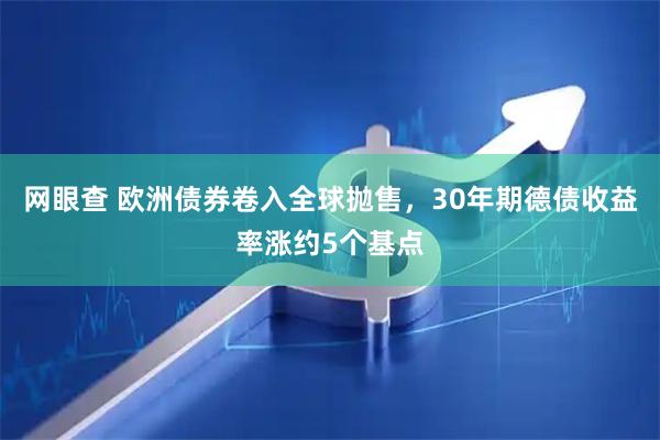 网眼查 欧洲债券卷入全球抛售，30年期德债收益率涨约5个基点