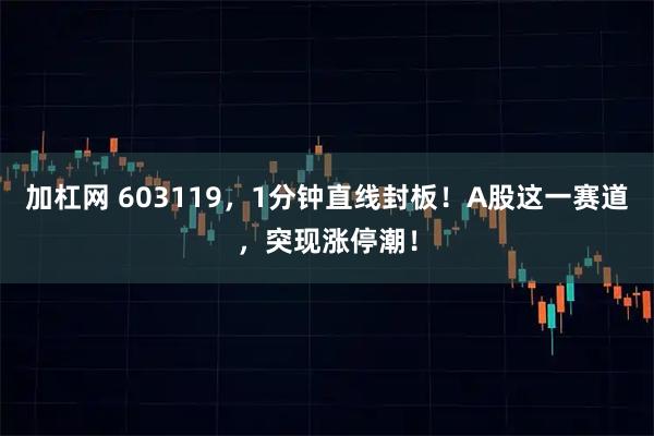 加杠网 603119，1分钟直线封板！A股这一赛道，突现涨停潮！