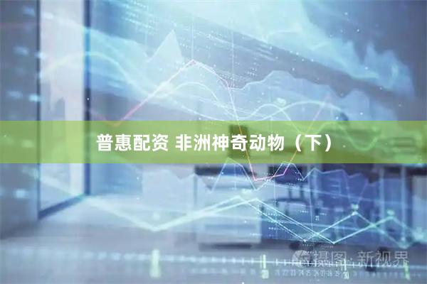 普惠配资 非洲神奇动物（下）