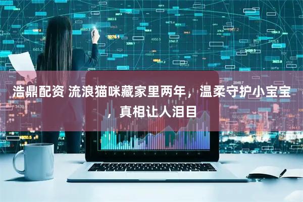 浩鼎配资 流浪猫咪藏家里两年，温柔守护小宝宝，真相让人泪目