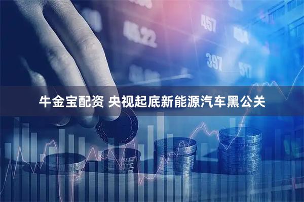 牛金宝配资 央视起底新能源汽车黑公关