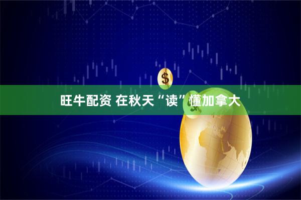旺牛配资 在秋天“读”懂加拿大