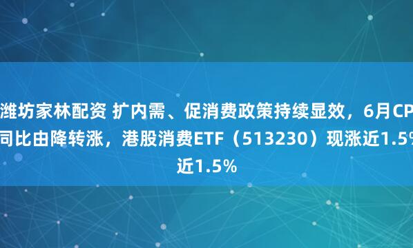 潍坊家林配资 扩内需、促消费政策持续显效,6月CPI同比由降转涨,港股消费ETF(513230)现涨近1.5%