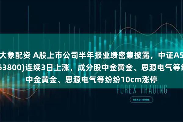大象配资 A股上市公司半年报业绩密集披露,中证A500ETF龙头(563800)连续3日上涨,成分股中金黄金、思源电气等纷纷10cm涨停